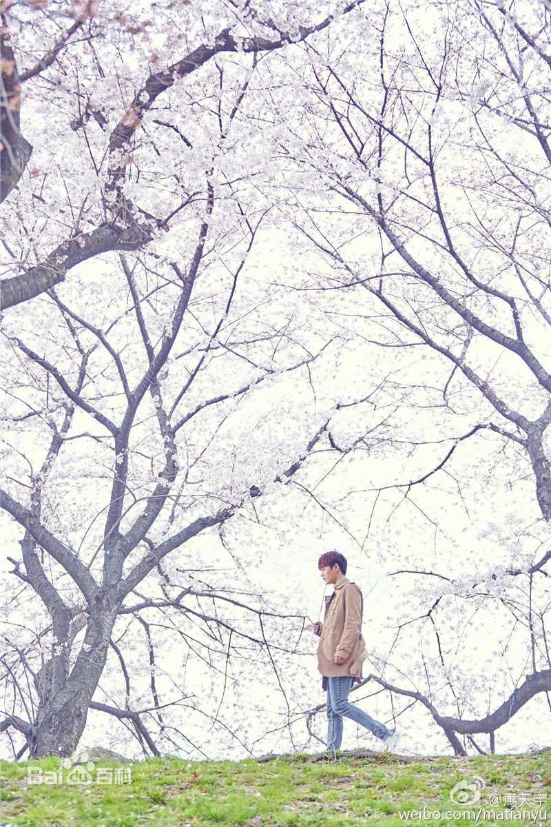 精选马天宇(Ray Ma)在《我本浪人》中的图册