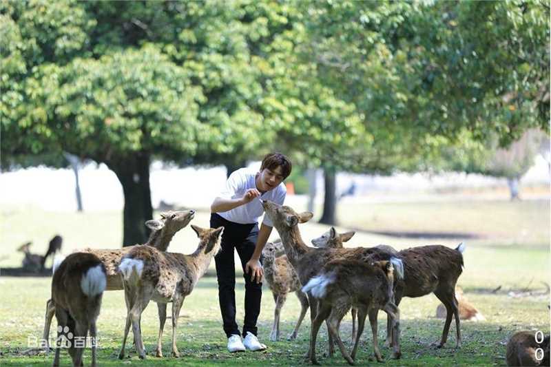 精选马天宇(Ray Ma)在《我本浪人》中的图册