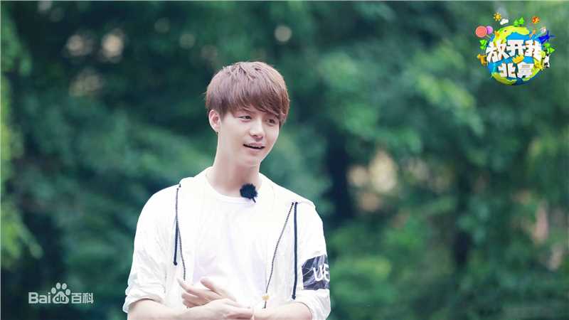 最优质马天宇(Ray Ma)在腾讯视频网综《放开我北鼻》去了容易去的中的相册