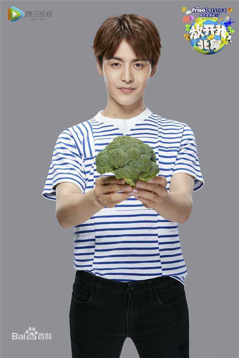 最优质马天宇(Ray Ma)在腾讯视频网综《放开我北鼻》去了容易去的中的相册