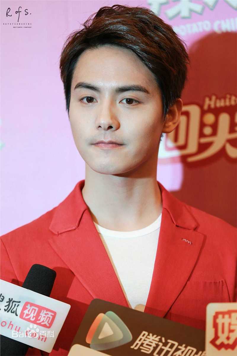 马天宇(Ray Ma)回头客销商年会素颜照相册