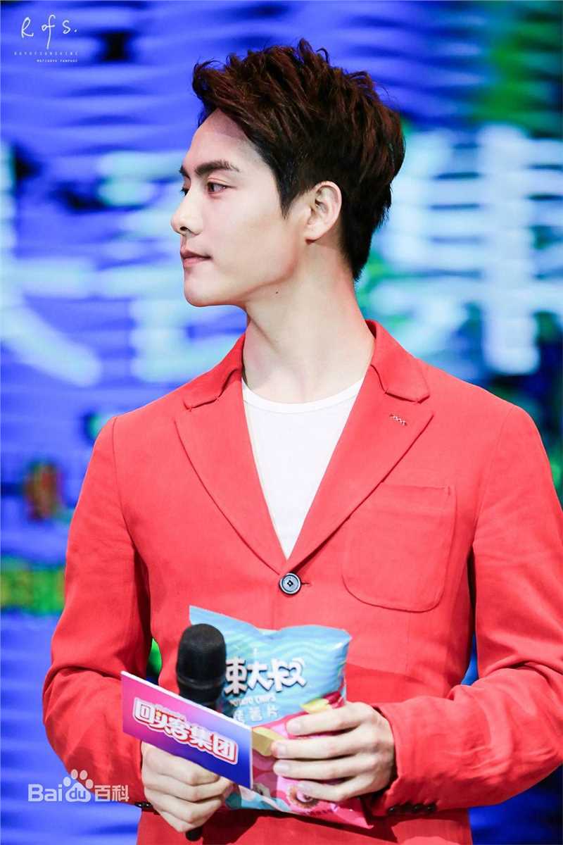 马天宇(Ray Ma)回头客销商年会素颜照相册