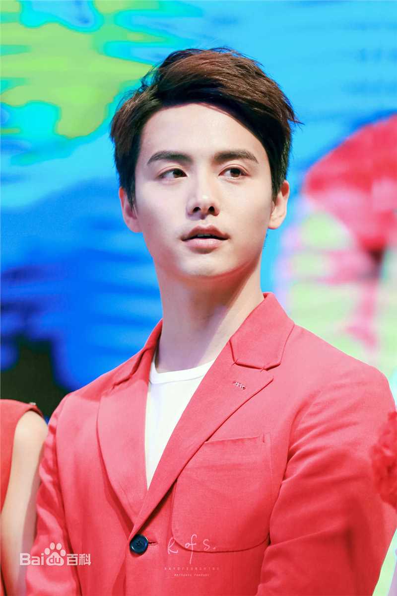 马天宇(Ray Ma)回头客销商年会素颜照相册