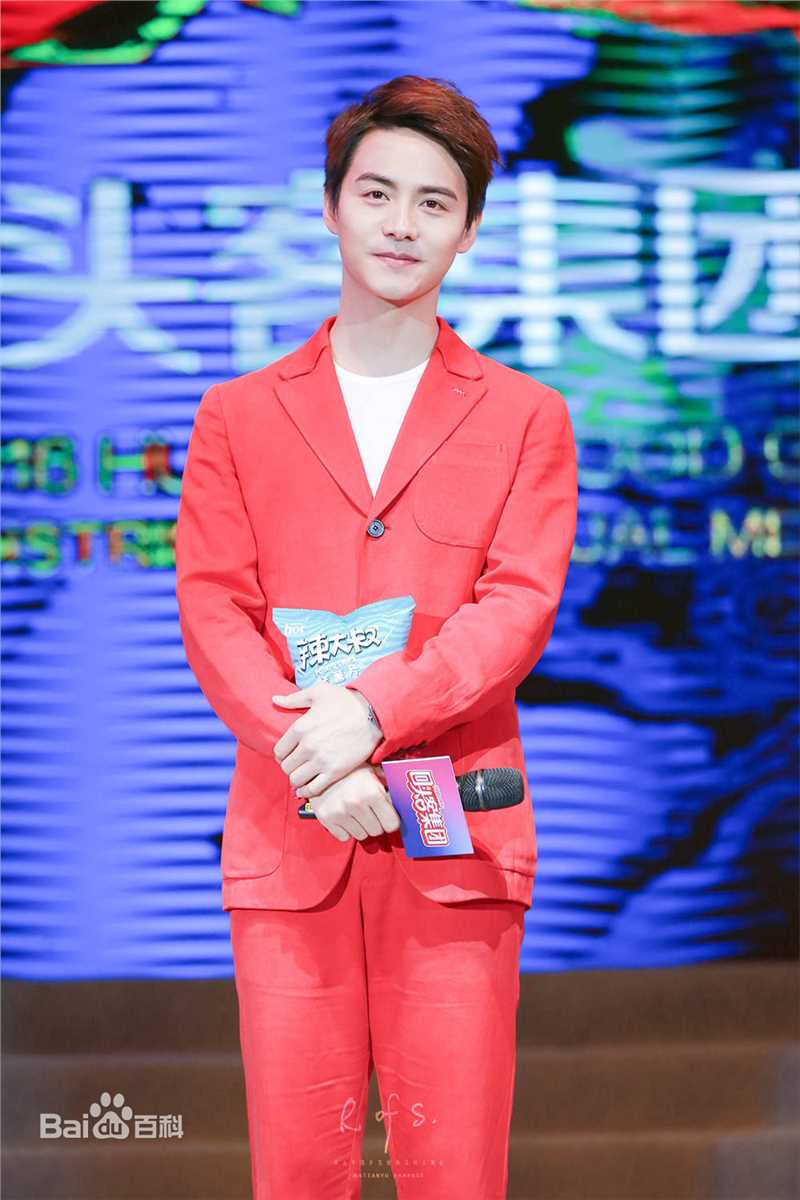 马天宇(Ray Ma)回头客销商年会素颜照相册