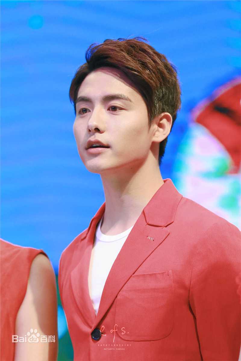 马天宇(Ray Ma)回头客销商年会素颜照相册