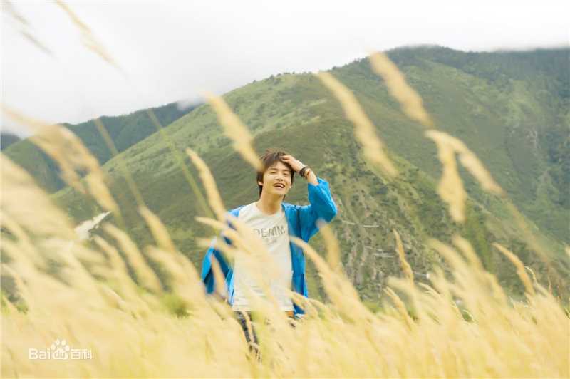 马天宇(Ray Ma)的个人图册壁纸壁纸