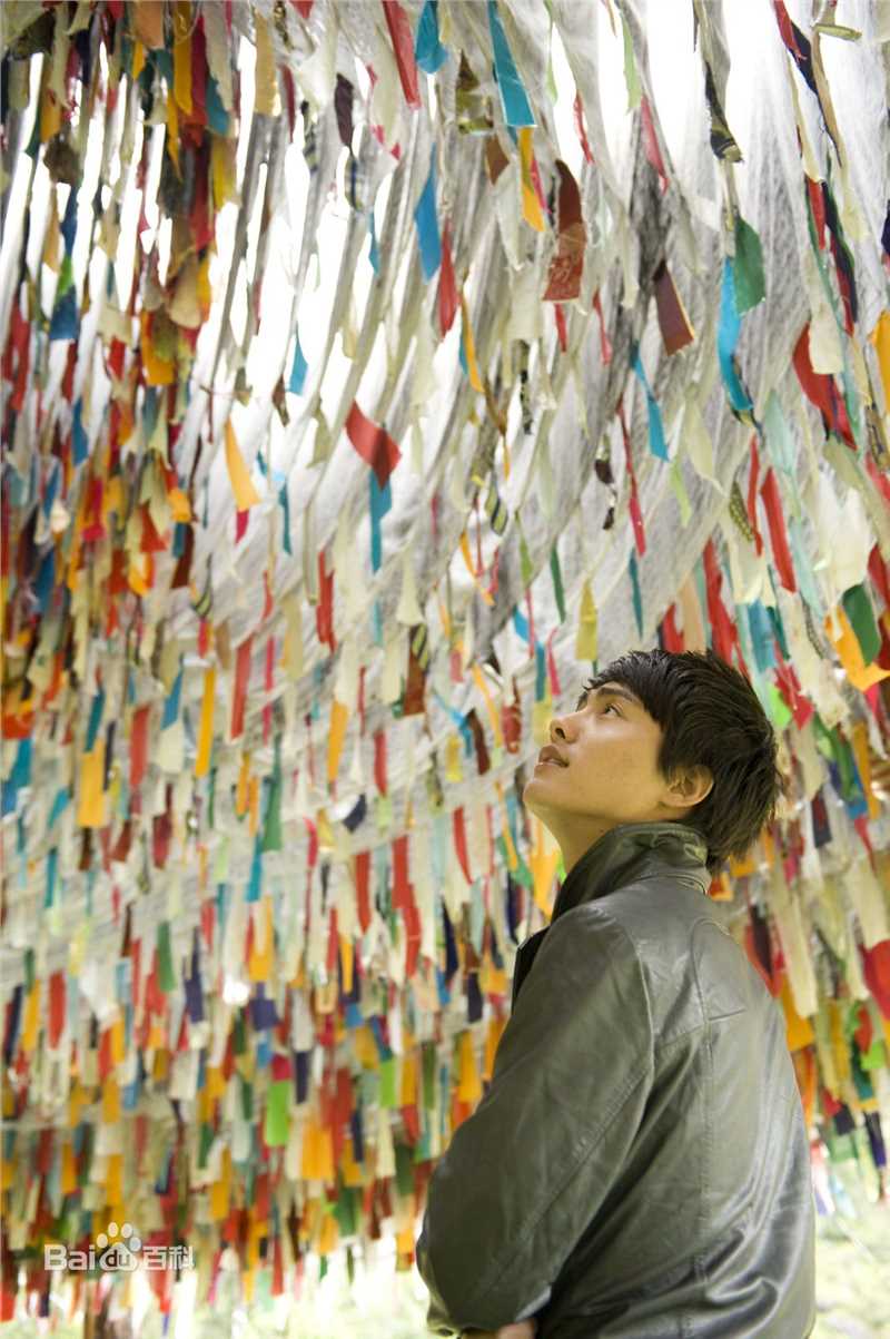 马天宇(Ray Ma)的个人图册壁纸壁纸