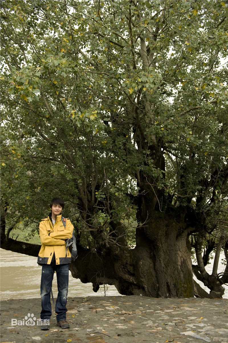 马天宇(Ray Ma)的个人图册壁纸壁纸