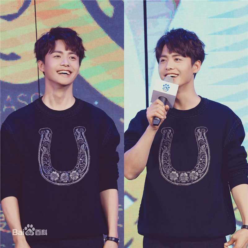 马天宇(Ray Ma)百度明星感恩季图片图册