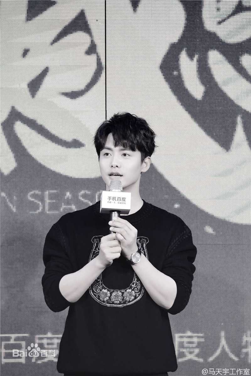 马天宇(Ray Ma)百度明星感恩季图片图册