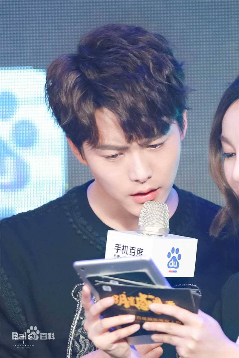 马天宇(Ray Ma)百度明星感恩季图片图册