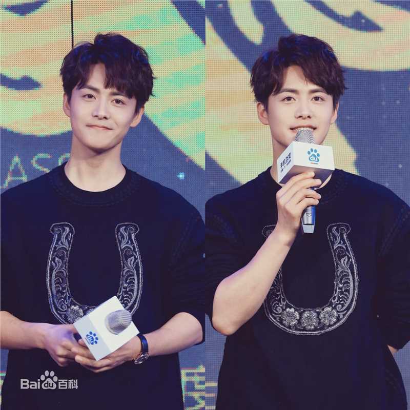 马天宇(Ray Ma)百度明星感恩季图片图册