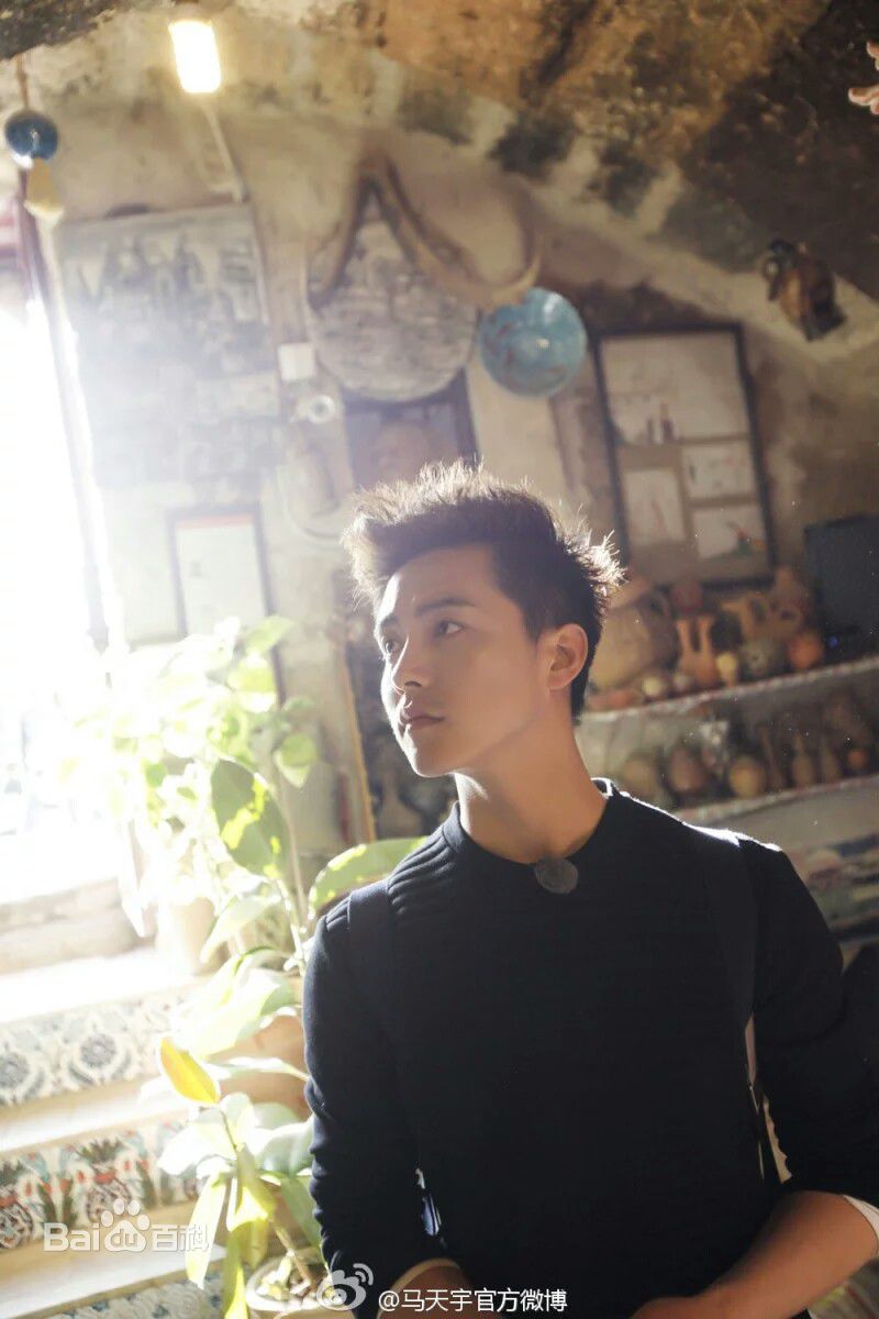 高清马天宇(Ray Ma)在东方卫视真人秀《花样姐姐》中的图集