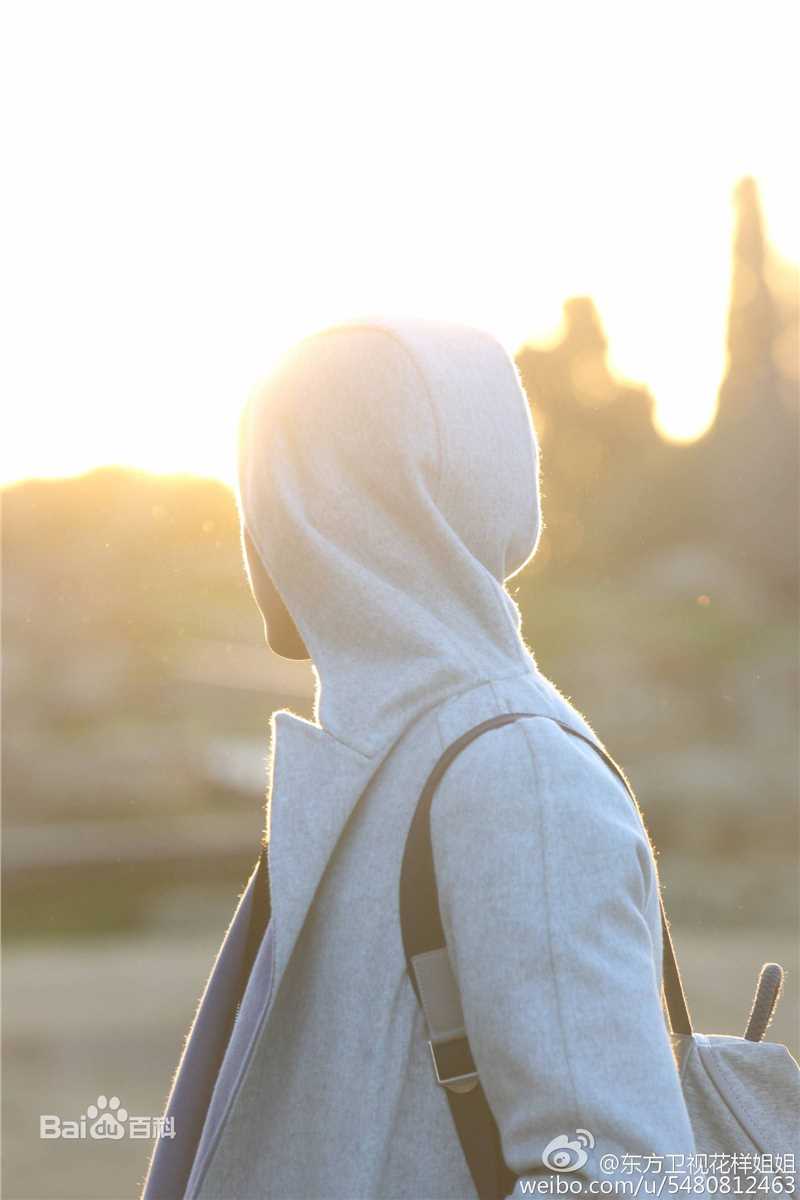 高清马天宇(Ray Ma)在东方卫视真人秀《花样姐姐》中的图集