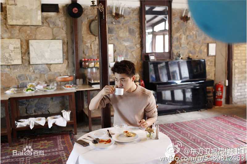 高清马天宇(Ray Ma)在东方卫视真人秀《花样姐姐》中的图集
