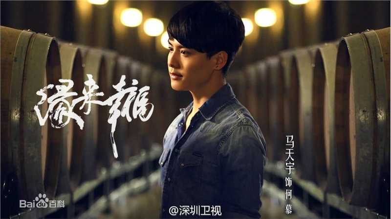 高清马天宇(Ray Ma)在《缘来幸福》饰何慕中的图集
