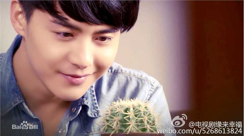 高清马天宇(Ray Ma)在《缘来幸福》饰何慕中的图集