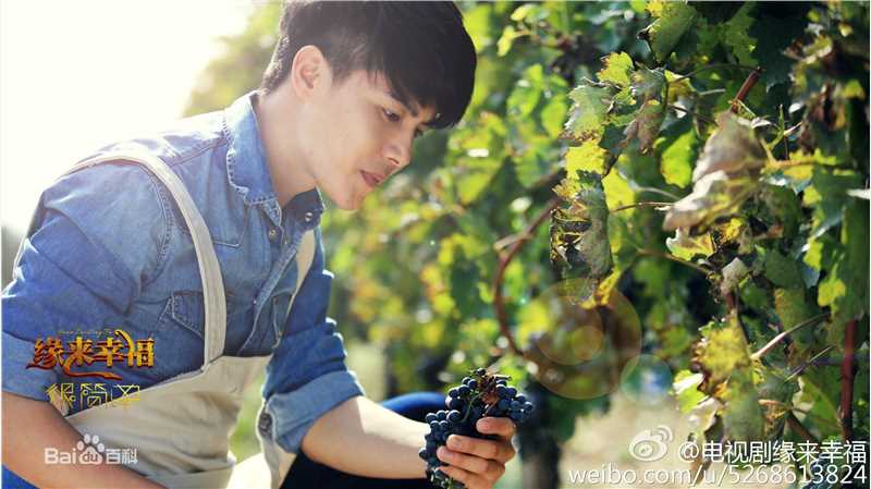 高清马天宇(Ray Ma)在《缘来幸福》饰何慕中的图集