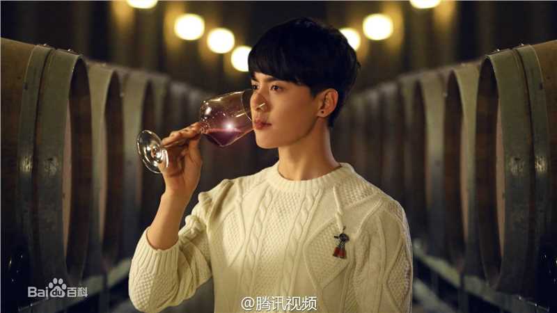 高清马天宇(Ray Ma)在《缘来幸福》饰何慕中的图集