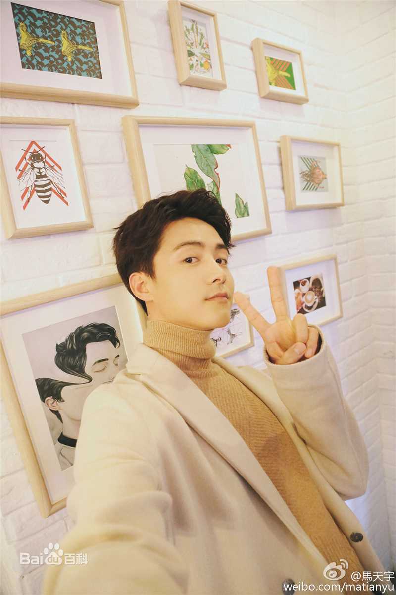 马天宇(Ray Ma)性感图片图集