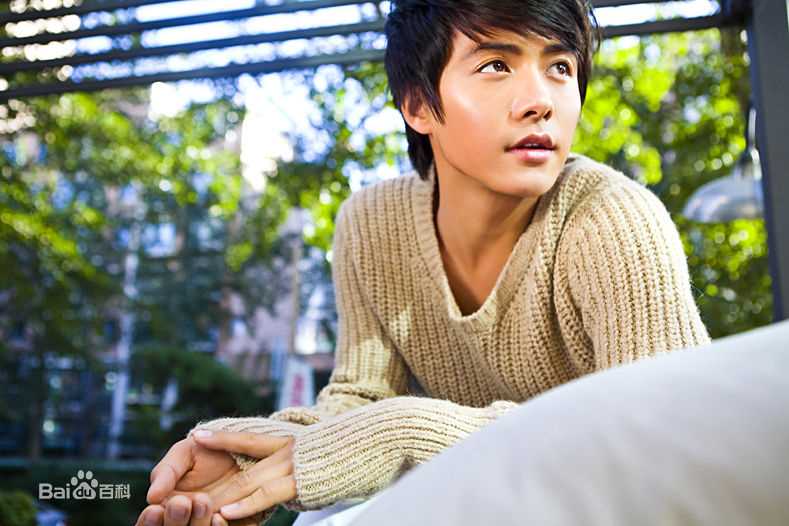 马天宇(Ray Ma)的个人图册性感图片图集