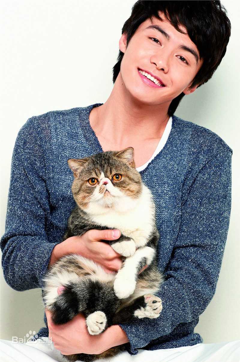 马天宇(Ray Ma)的个人图册性感图片图集