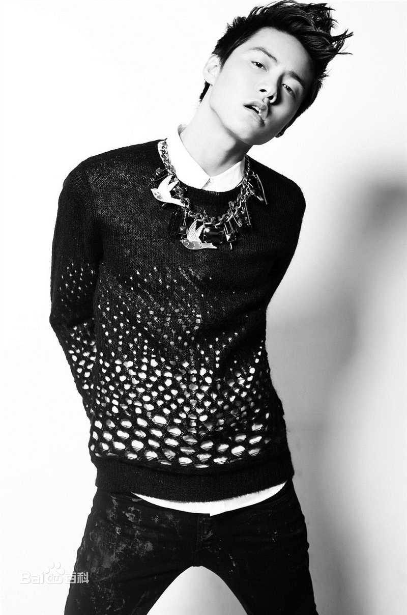 马天宇(Ray Ma)的个人图册性感图片图集