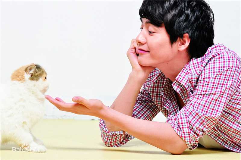 马天宇(Ray Ma)的个人图册性感图片图集