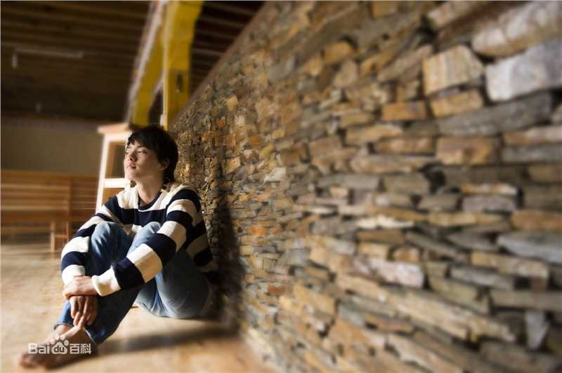 马天宇(Ray Ma)的个人图册壁纸壁纸