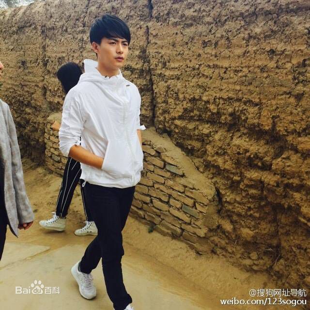 马天宇(Ray Ma)搜狗公益活动宇梦童行性感图片图集