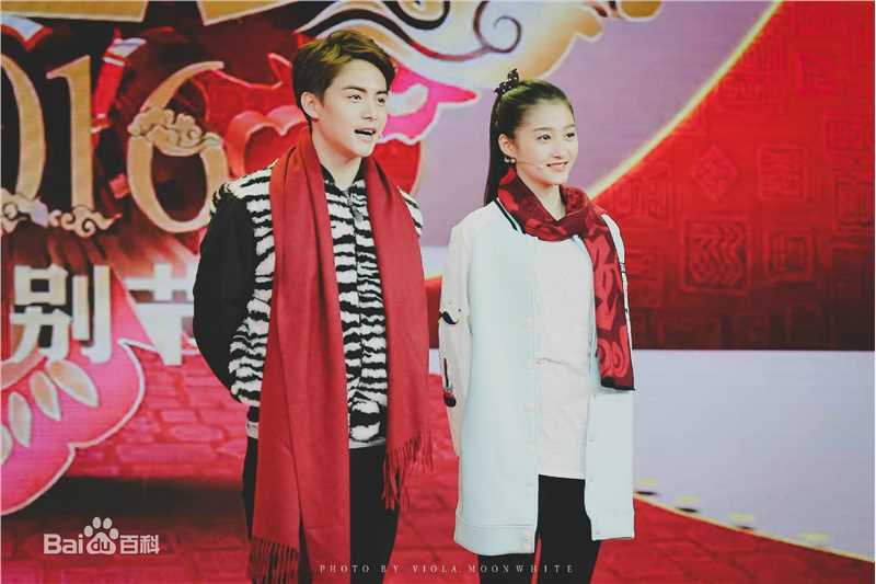 马天宇(Ray Ma)2016春晚图片图册