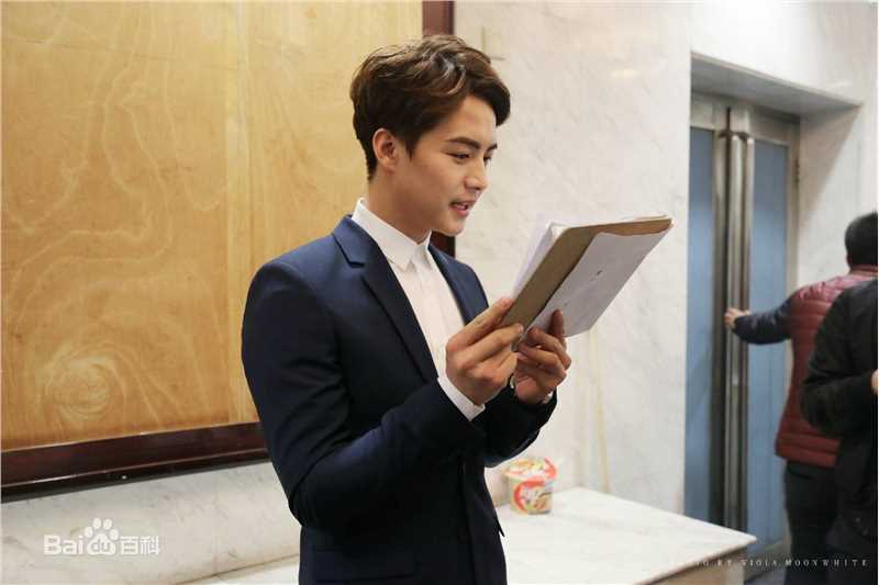 马天宇(Ray Ma)2016春晚图片图册