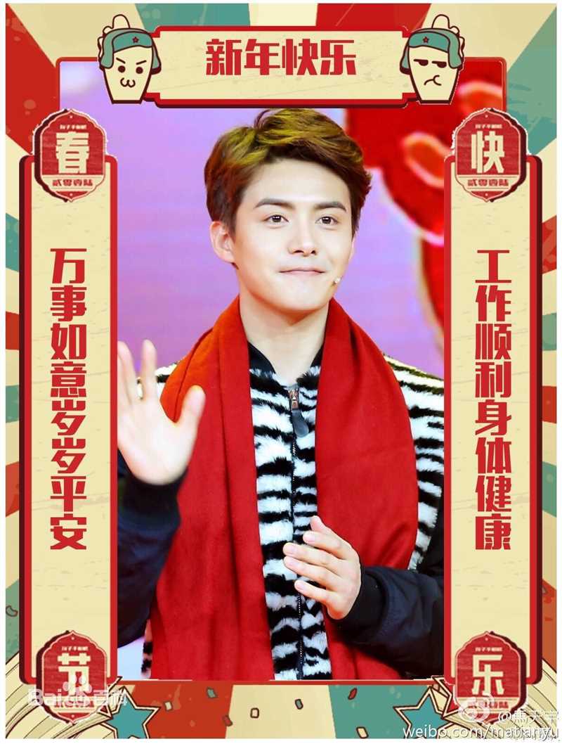 马天宇(Ray Ma)2016春晚图片图册