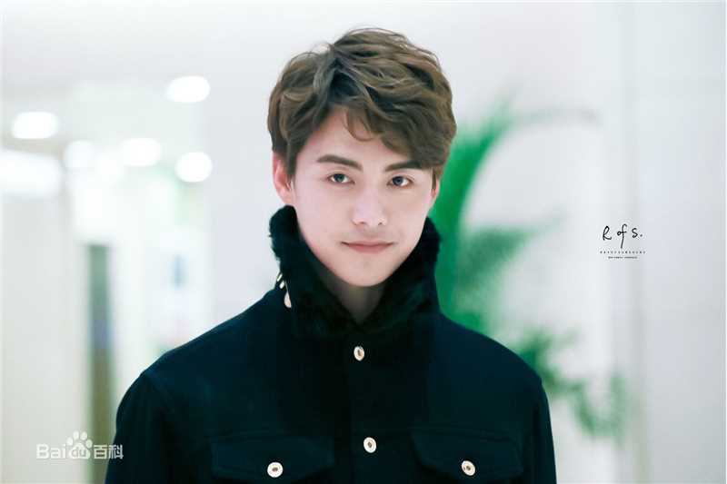 马天宇(Ray Ma)2016春晚图片图册