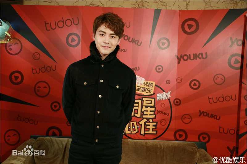 马天宇(Ray Ma)2016春晚图片图册