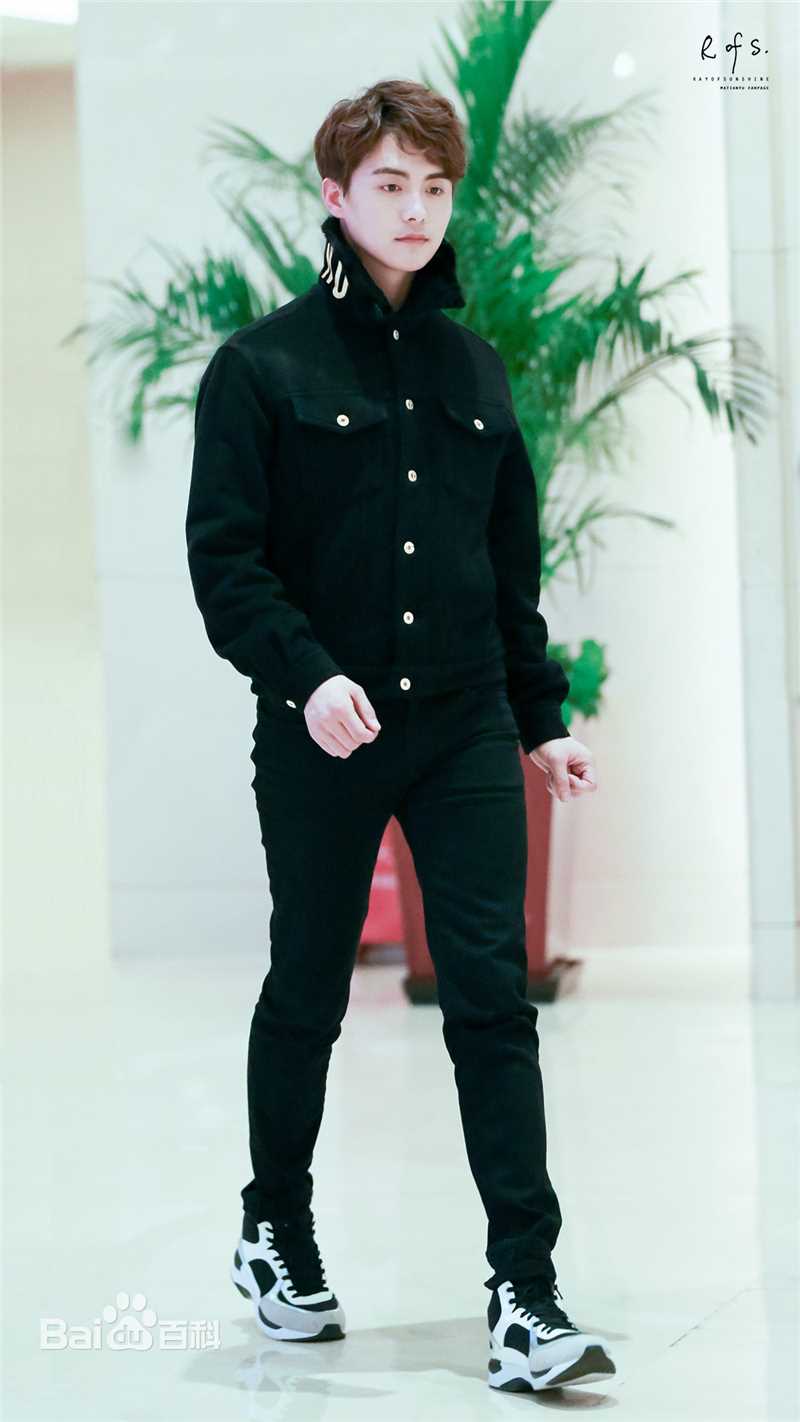 马天宇(Ray Ma)2016春晚图片图册