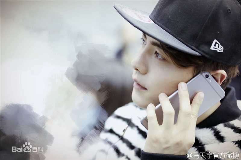 马天宇(Ray Ma)2016春晚图片图册