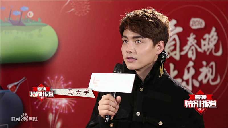 马天宇(Ray Ma)2016春晚图片图册