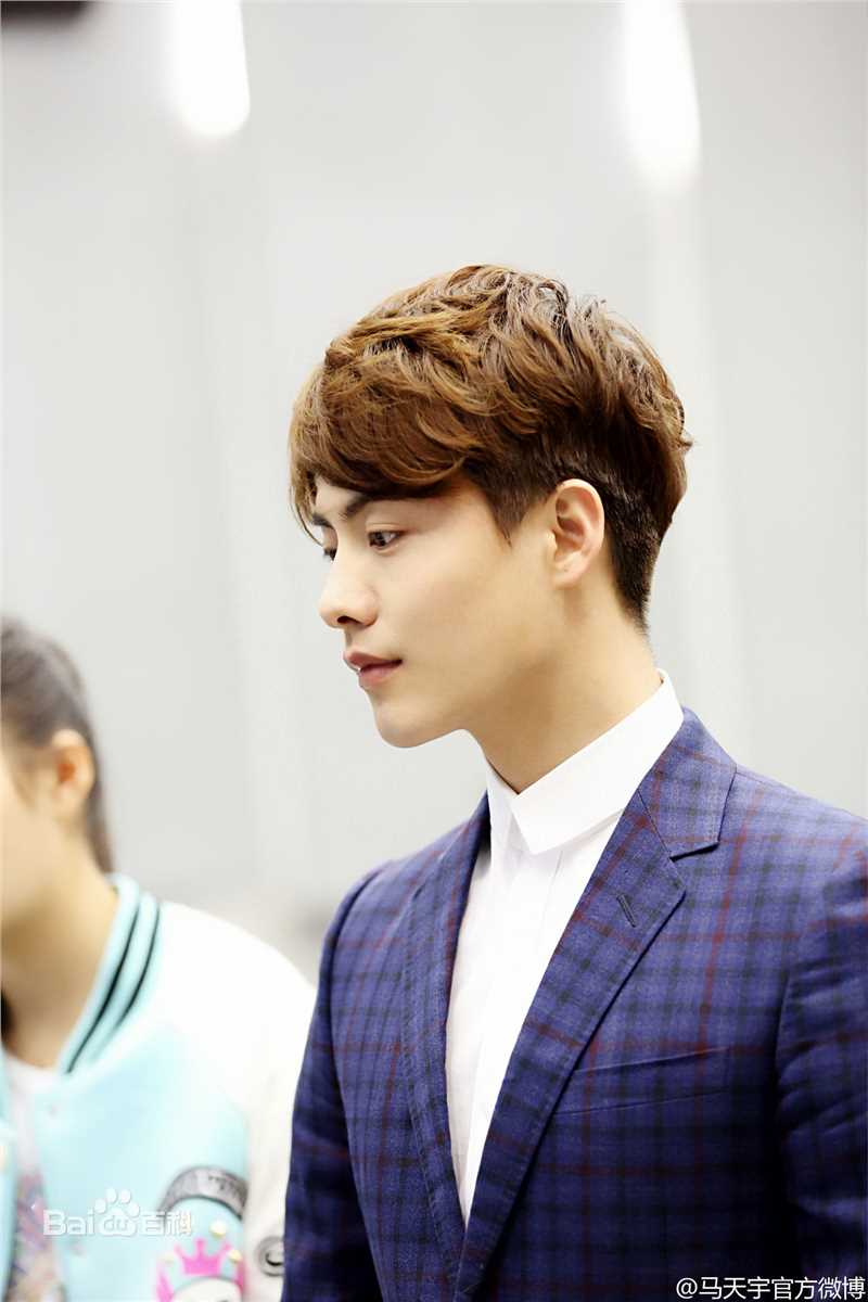 马天宇(Ray Ma)2016春晚图片图册