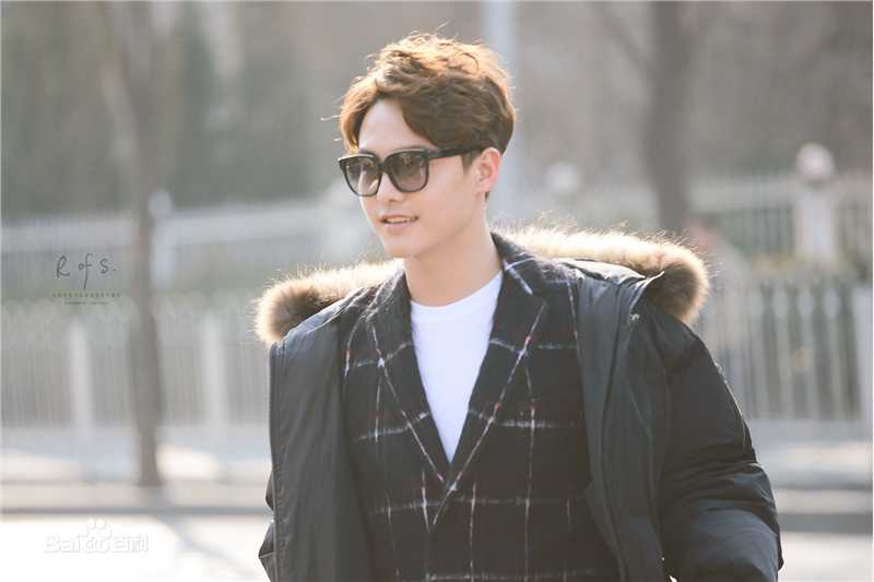 马天宇(Ray Ma)2016春晚图片图册