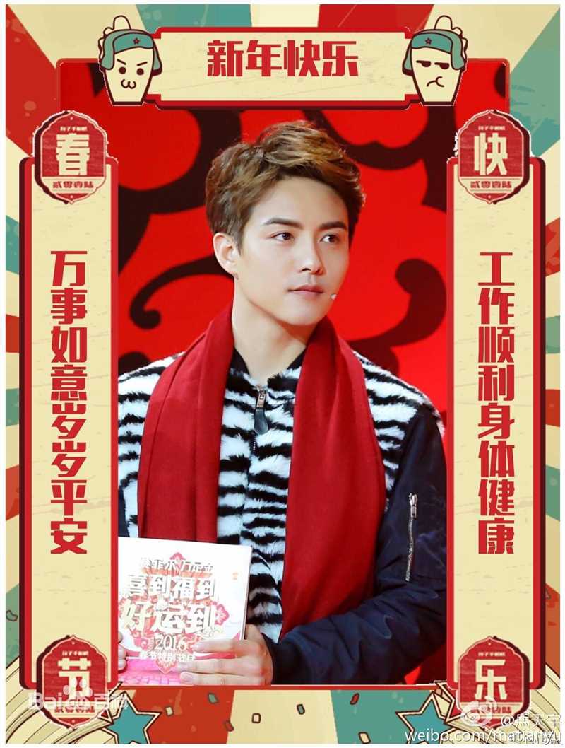 马天宇(Ray Ma)2016春晚图片图册