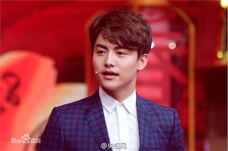 马天宇(Ray Ma)2016春晚图片图册