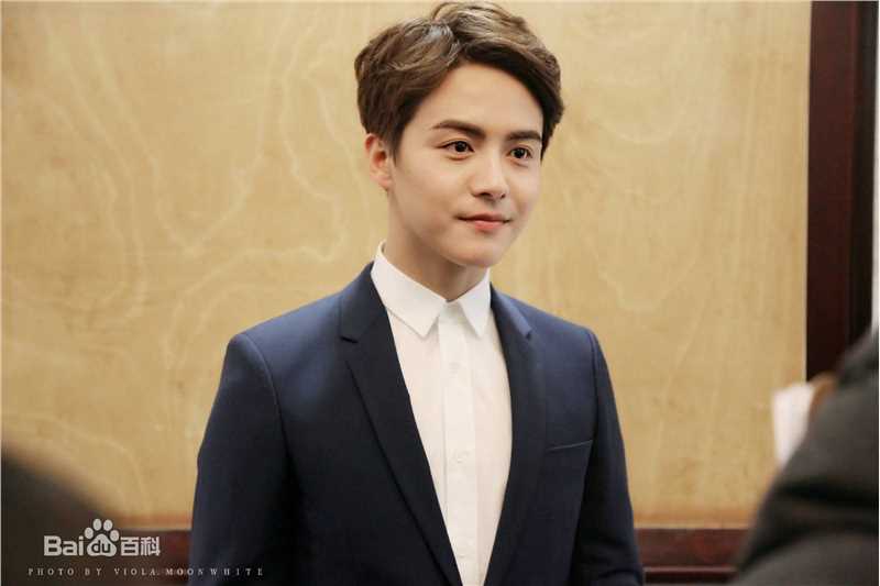 马天宇(Ray Ma)2016春晚图片图册