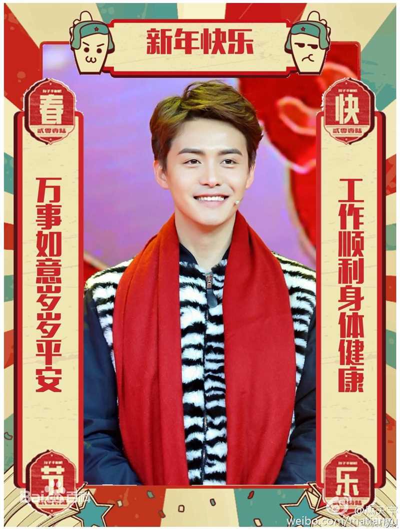 马天宇(Ray Ma)2016春晚图片图册