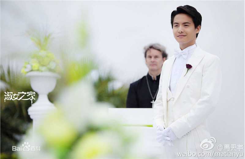 最优质马天宇(Ray Ma)在《淑女之家》饰苏志文中的相册