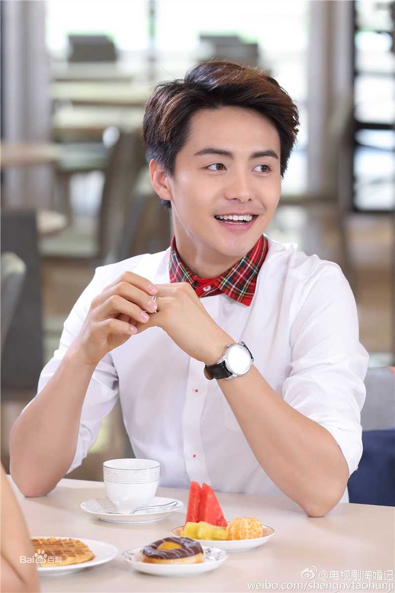 精选马天宇(Ray Ma)在《亲爱的婚姻》饰李航中的图册