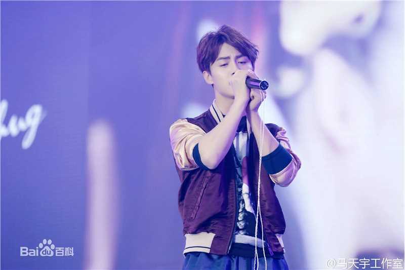 马天宇(Ray Ma)幻城之夜开播发布会及开播晚会性感图片图集