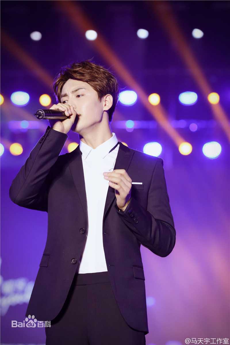 马天宇(Ray Ma)幻城之夜开播发布会及开播晚会性感图片图集