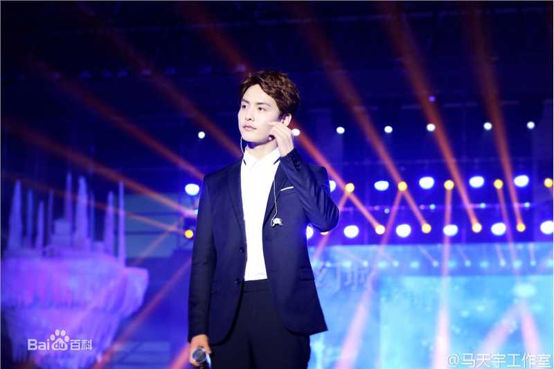 马天宇(Ray Ma)幻城之夜开播发布会及开播晚会性感图片图集