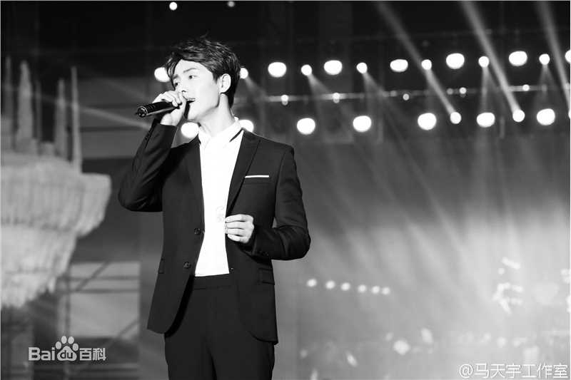 马天宇(Ray Ma)幻城之夜开播发布会及开播晚会性感图片图集